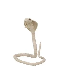 Cobra Skelet 100 Cm | Feestkleding Breda