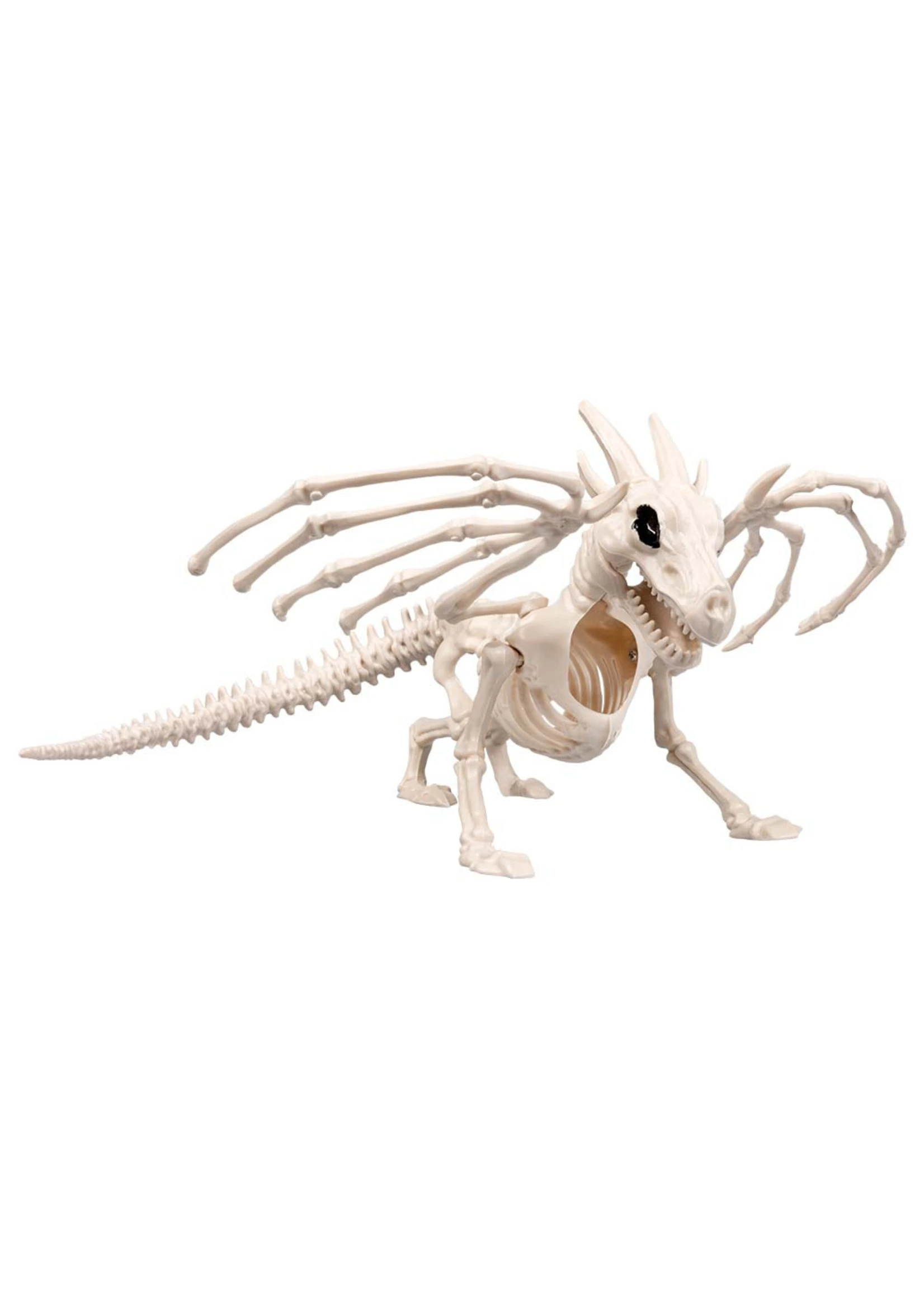 Drakenskelet Van 37 Cm | Feestkleding Breda