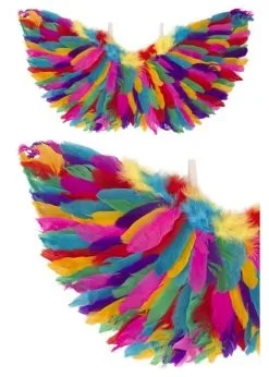 Engelen Vleugels Regenboog