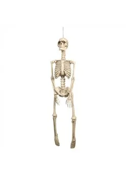 Hangdecoratie Skelet 92 Cm