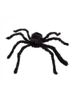 Harige Spin | Feestkleding Breda