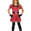 Jurk Minnie Kind | Feestkleding Breda