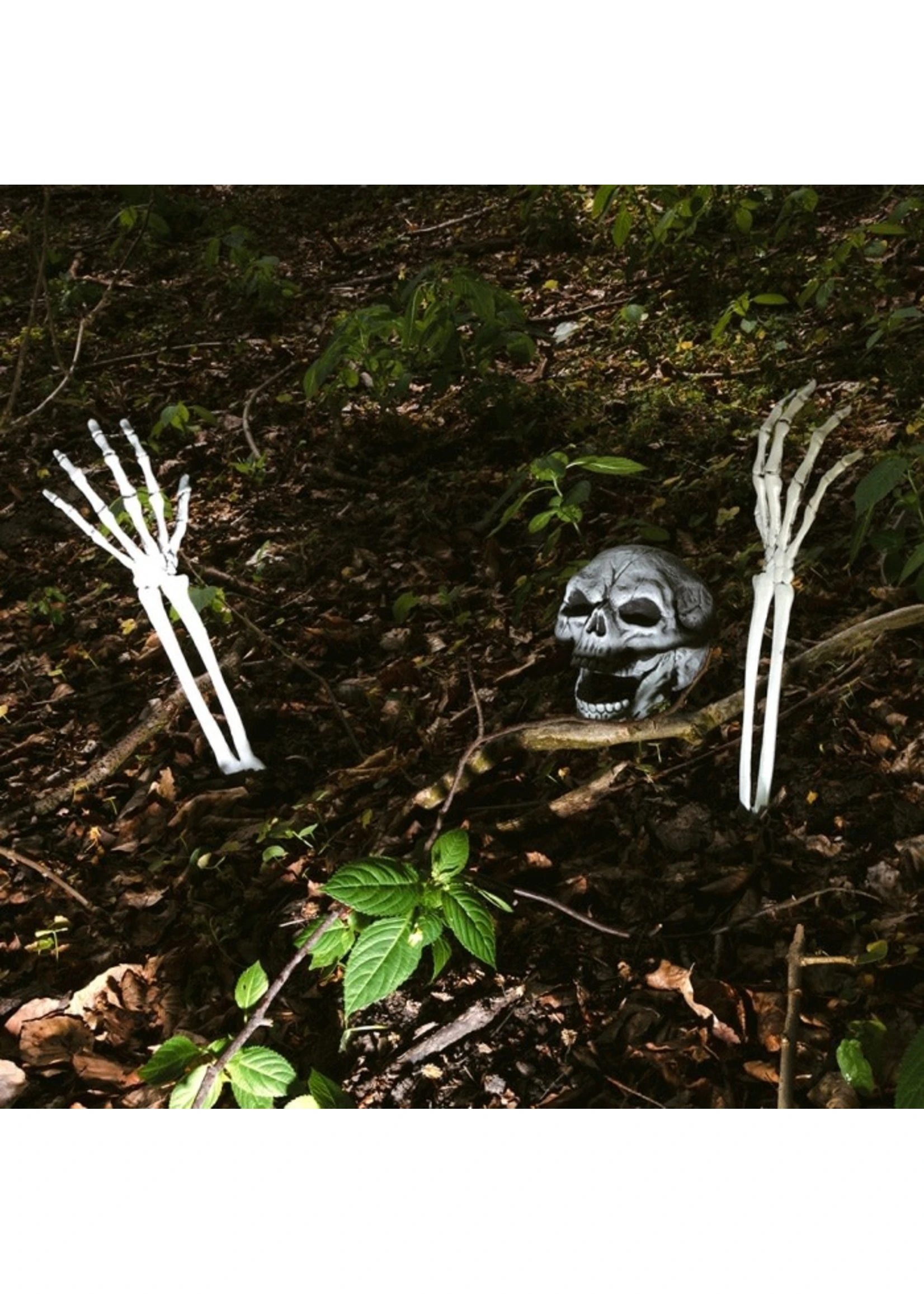 Set Begraven Skelet | Feestkleding Breda