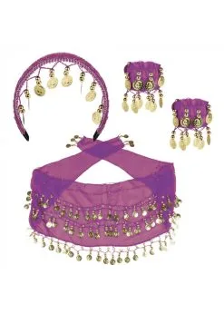 Set Belly Dance Purple | Feestkleding Breda