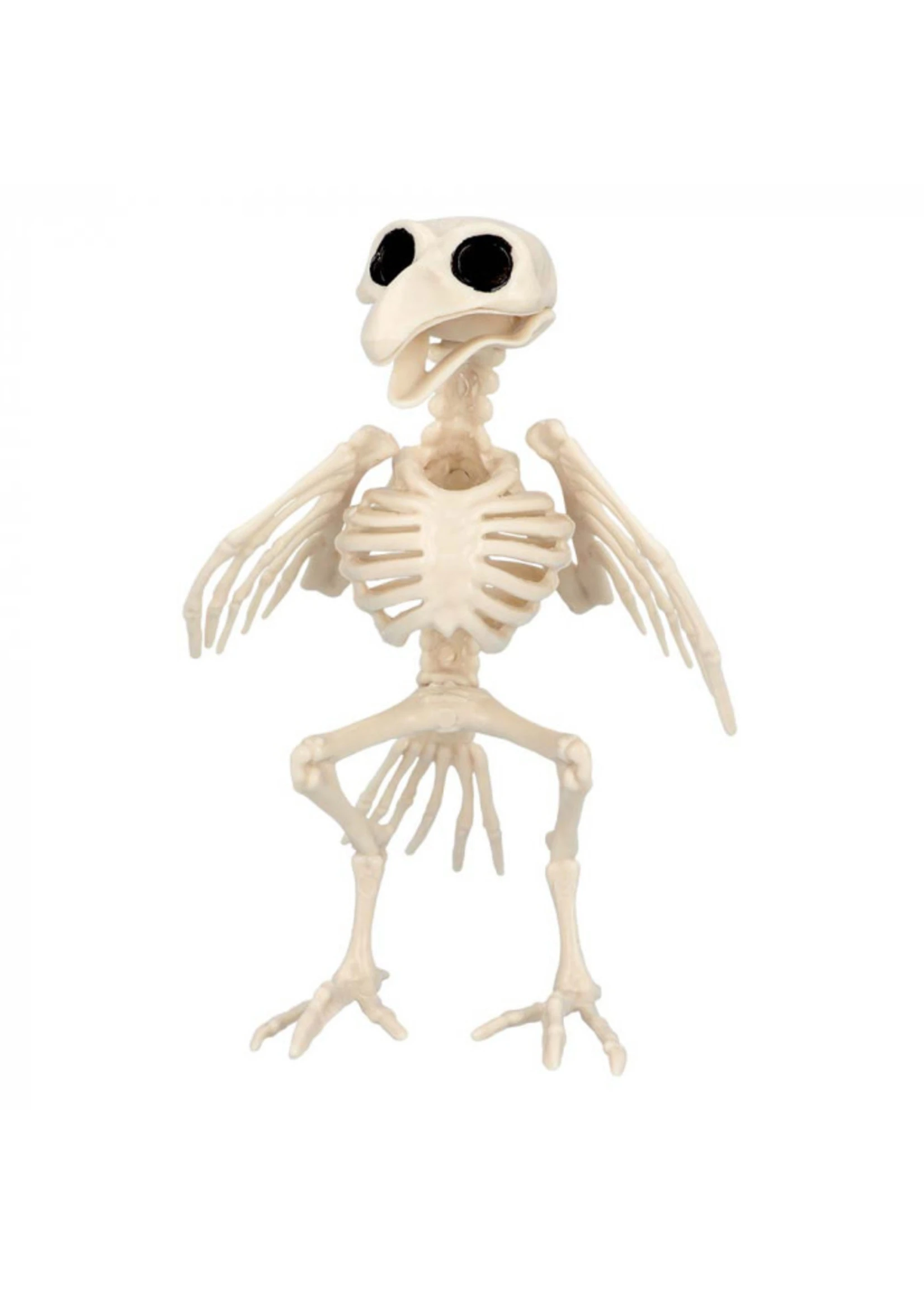 Skelet Vogel | Feestkleding Breda