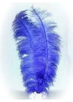 Spadonis Veren Blauw 50 Cm | Feestkleding Breda