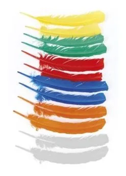 Veren Indiaan |Feestkleding Breda