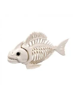 Vissenskelet | Feestkleding Breda