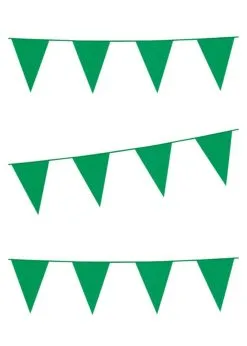 Vlaggenlijn Groen 10 Meter | Feestkleding Breda
