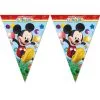 Vlaggenlijn Mickey | Feestkleding Breda
