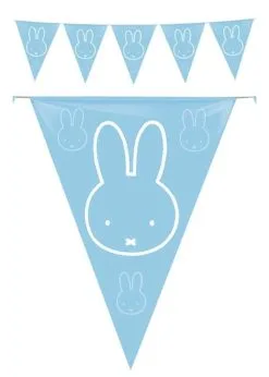 Vlaggenlijn Nijntje Blauw | Feestkleding Breda