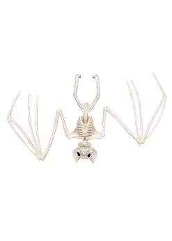 Vleermuizen Skelet | Feestkleding Breda