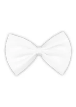 Vlinderstrik Wit | Feestkleding Breda